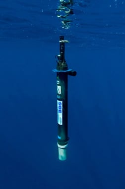 West-Med-NAVIS-BGC-v19-fig2-306x464