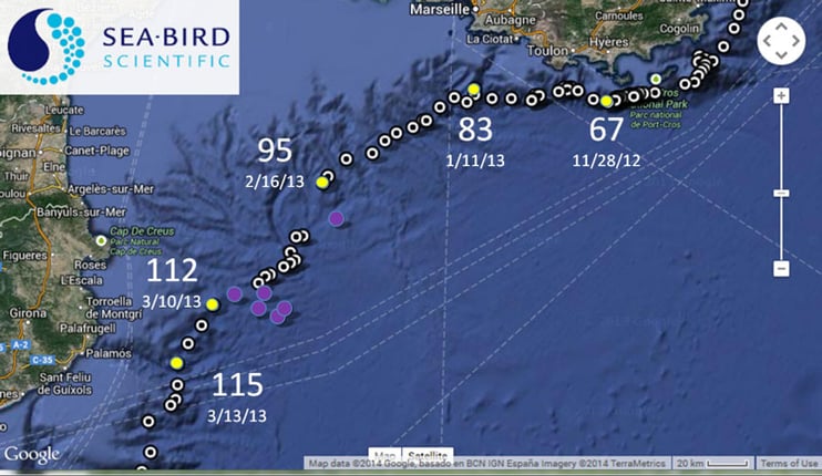 West-Med-NAVIS-BGC-v19-fig4-908x522