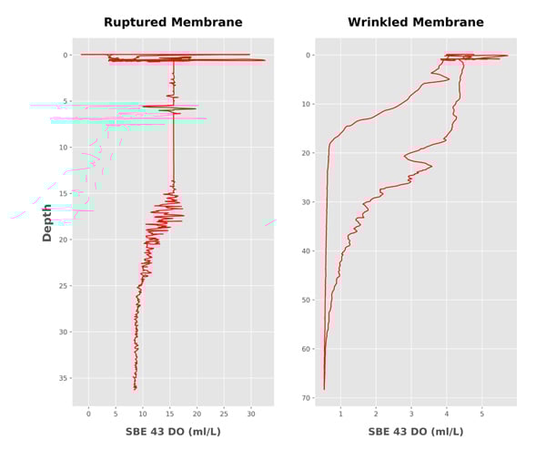 dissolved-oxygen-sensor-600x494