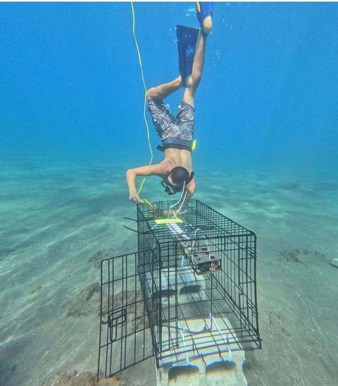 Sean Swift from UH adheres the buoy float to the HydroCAT-EP V2 cage