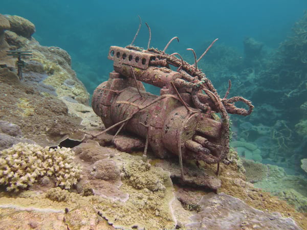 A heavily biofouled oceanographic pH sensor