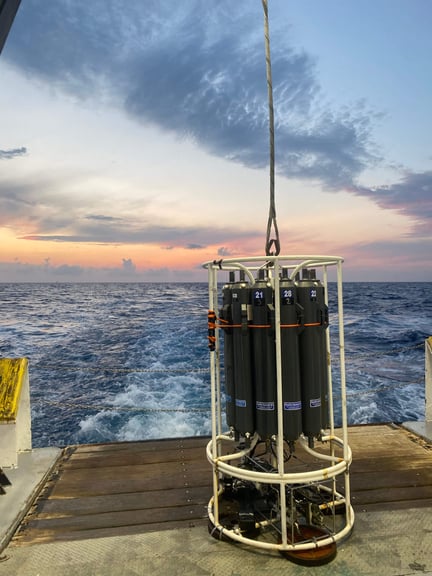 launching the rosette