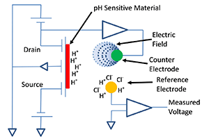 ISFET pH Sensor