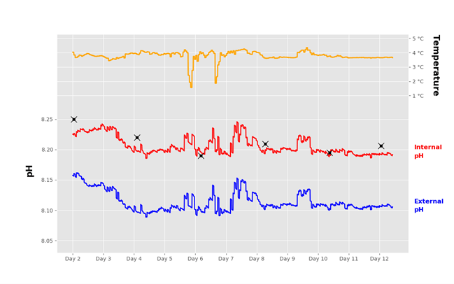 Graph of internal and external pH
