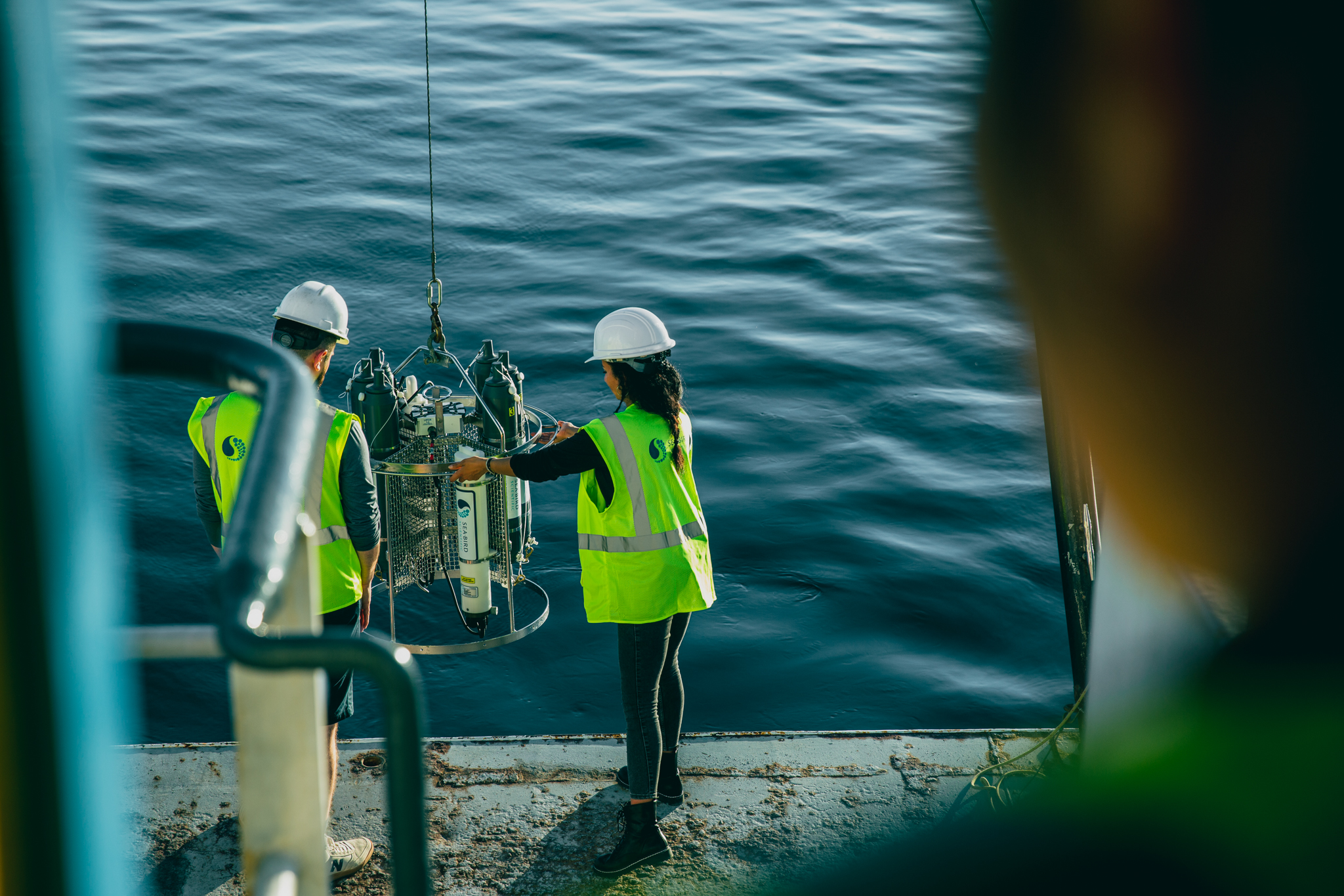 Munn-Seabird-BrandShoot-Enviornment-WebRes-9858