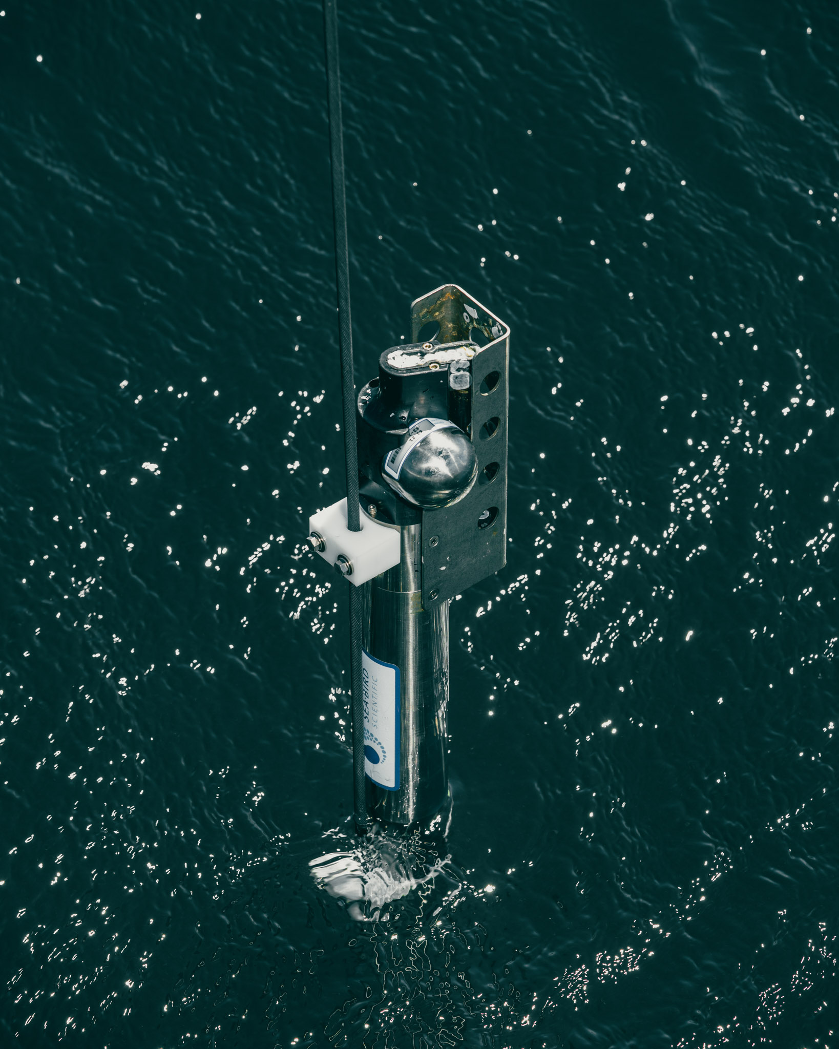 SBE 37 on mooring cable