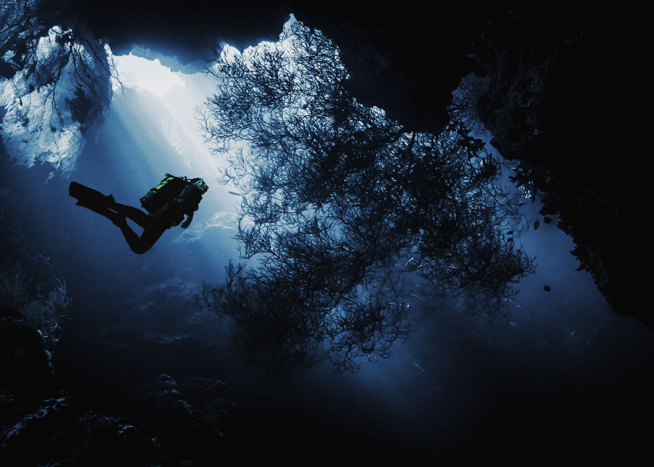 Deep dive training series image
