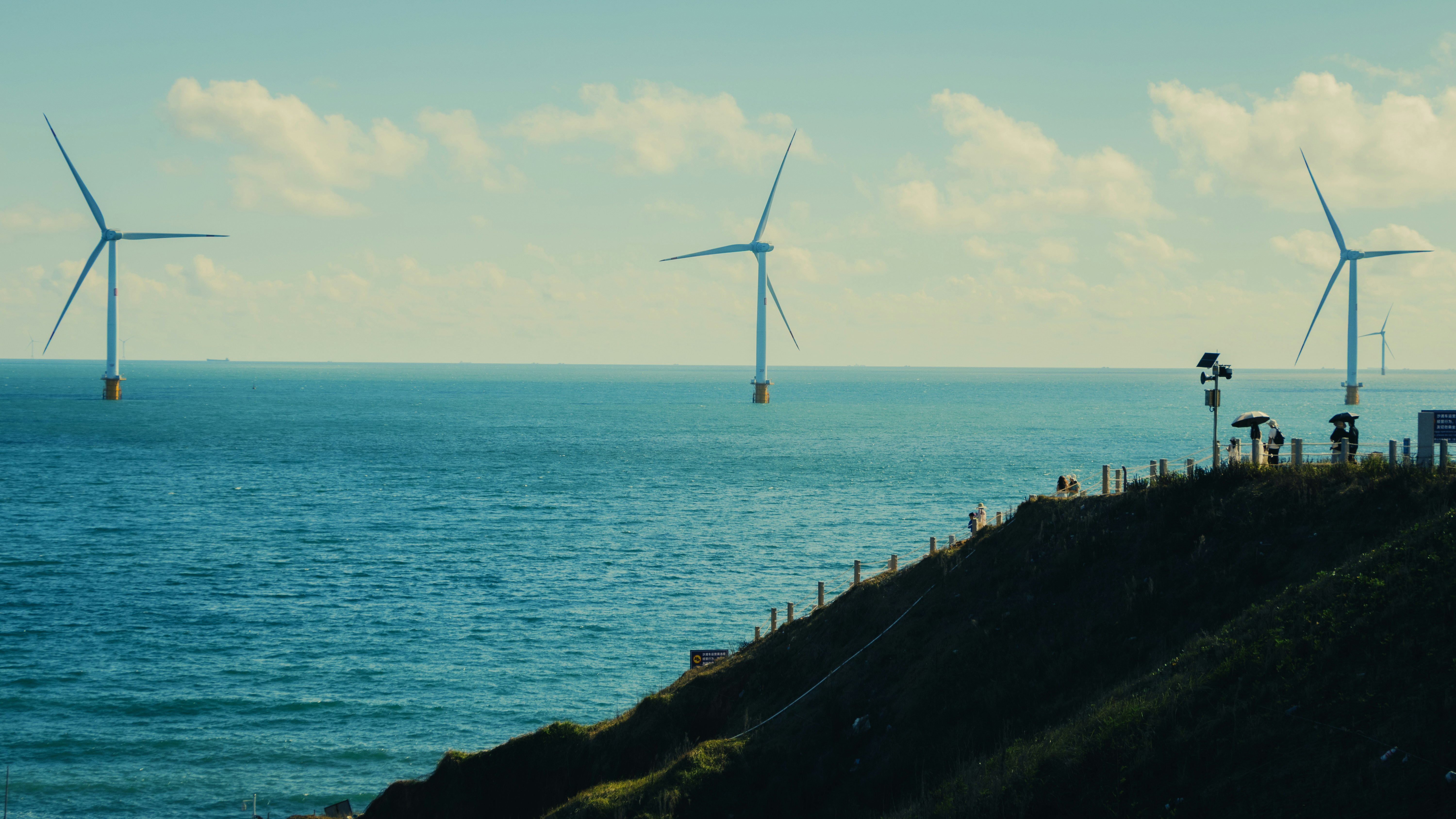 Wind farm renewable energy in the ocean