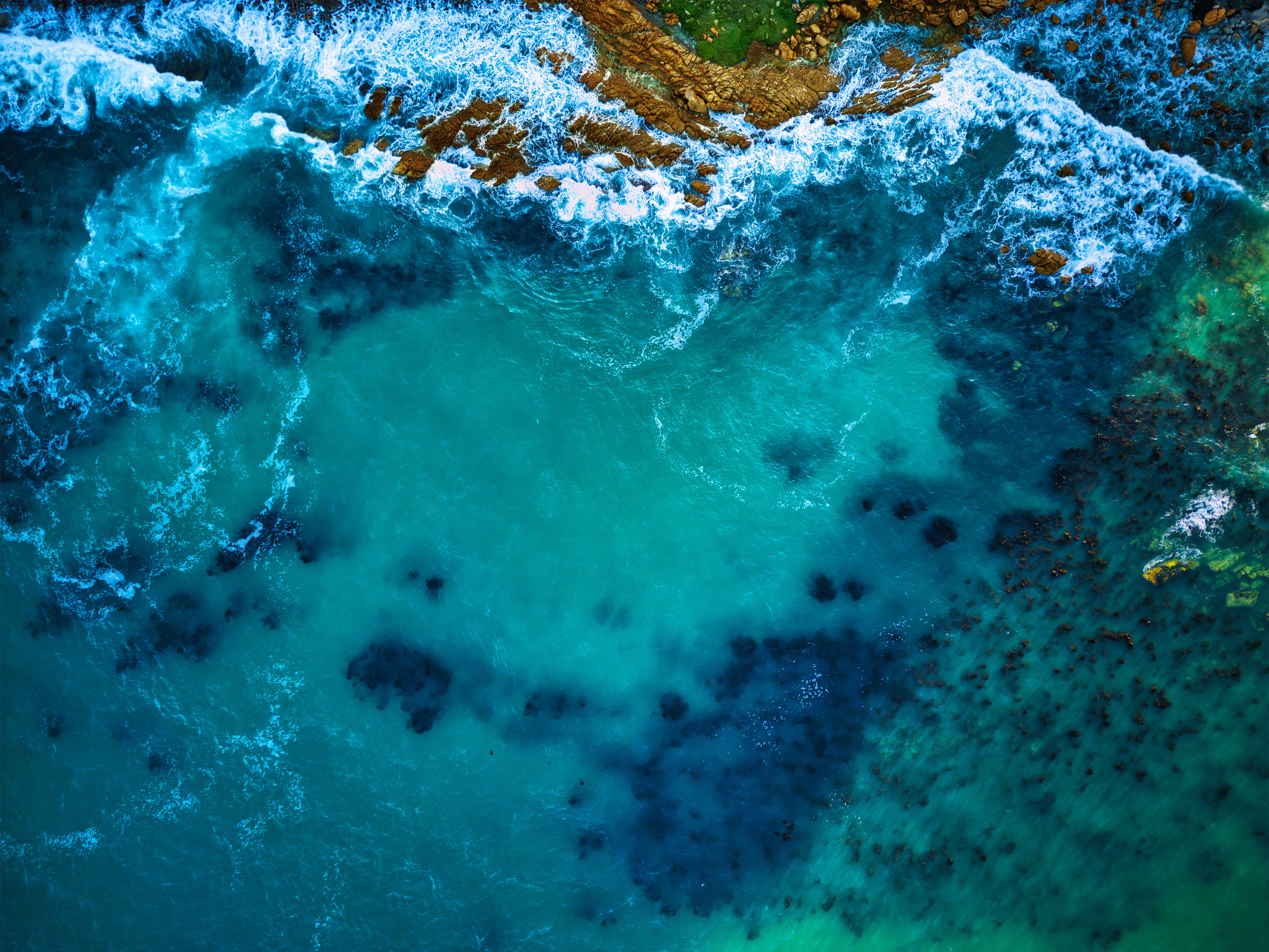 Looking at the ocean with biogeochemical monitoring