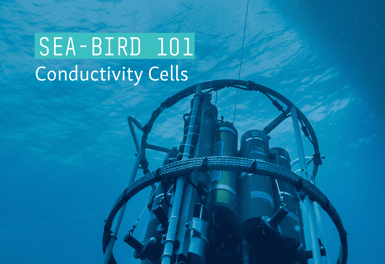 Sea-Bird 101: Conductivity Cells