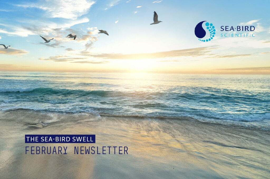 February 2024 Newsletter