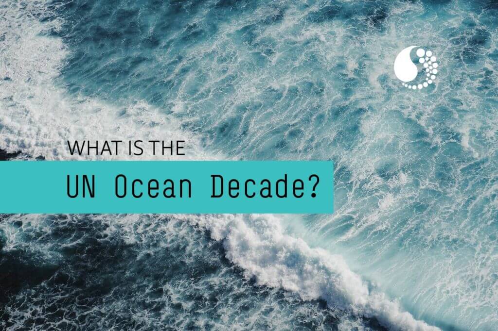 What is the UN Ocean Decade?