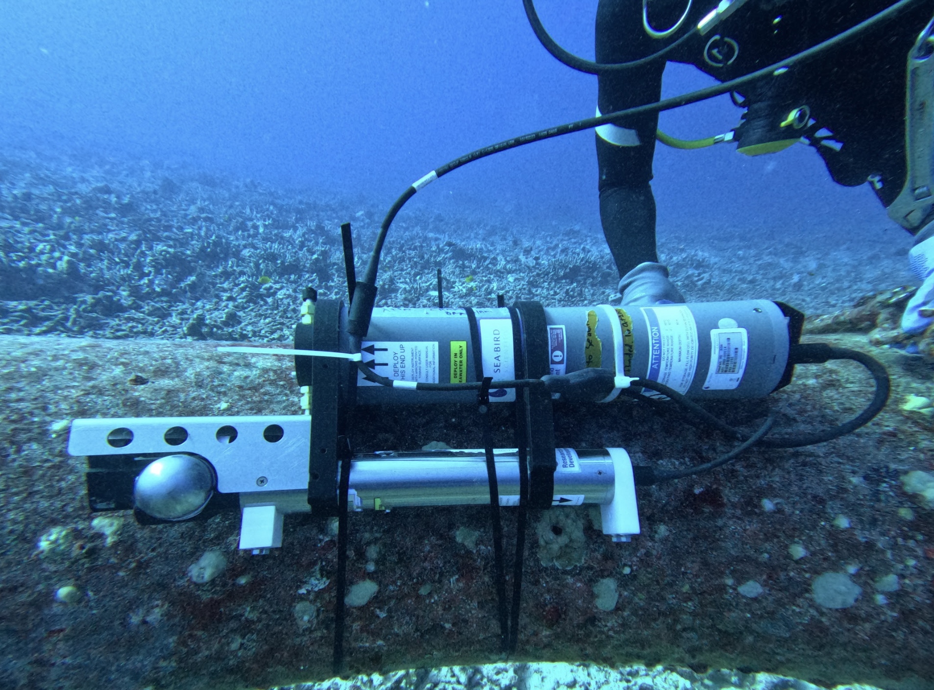 Press Release: Sea-Bird Scientific Sensor Successfully Integrated with Sofar Ocean’s Bristlemouth Communications Ecosystem