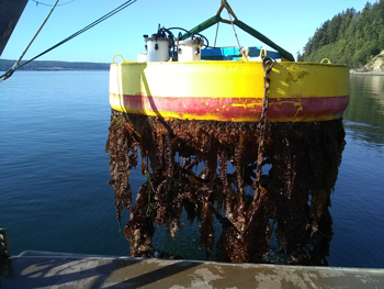 Recovering the ORCA mooring