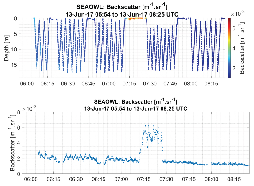 seaOWL backscatter