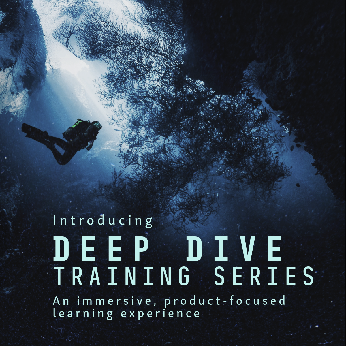 Deep-Dive-Webinar-Series-4-1.png