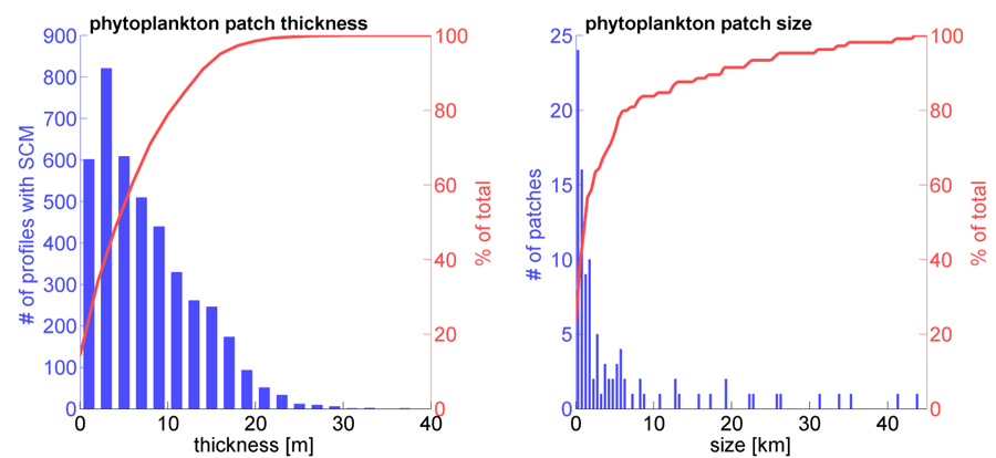 Distributions of subsurface chlorophyll Distributions of subsurface chlorophyll Distributions of subsurface chlorophyll Distributions of subsurface chlorophyll Distributions of subsurface chlorophyll Distributions of subsurface chlorophyll Distributions of subsurface chlorophyll Distributions of subsurface chlorophyll Distributions of subsurface chlorophyll Distributions of subsurface chlorophyll Distributions of subsurface chlorophyll Distributions of subsurface chlorophyll Distributions of subsurface chlorophyll Distributions of subsurface chlorophyll Distributions of subsurface chlorophyll Distributions of subsurface chlorophyll Distributions of subsurface chlorophyll Distributions of subsurface chlorophyll Distributions of subsurface chlorophyll Distributions of subsurface chlorophyll Distributions of subsurface chlorophyll Distributions of subsurface chlorophyll Distributions of subsurface chlorophyll Distributions of subsurface chlorophyll Distributions of subsurface chlorophyll Distributions of subsurface chlorophyll Distributions of subsurface chlorophyll Distributions of subsurface chlorophyll Distributions of subsurface chlorophyll Distributions of subsurface chlorophyll Distributions of subsurface chlorophyll Distributions of subsurface chlorophyll patch thickness (left) patch thickness (left) patch thickness (left) patch thickness (left) patch thickness (left) patch