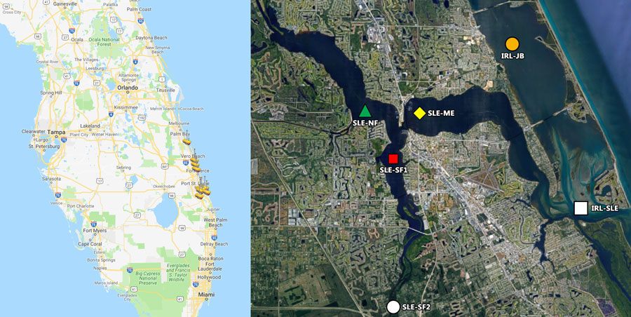 Nutrient sources within the St. Lucie Estuary