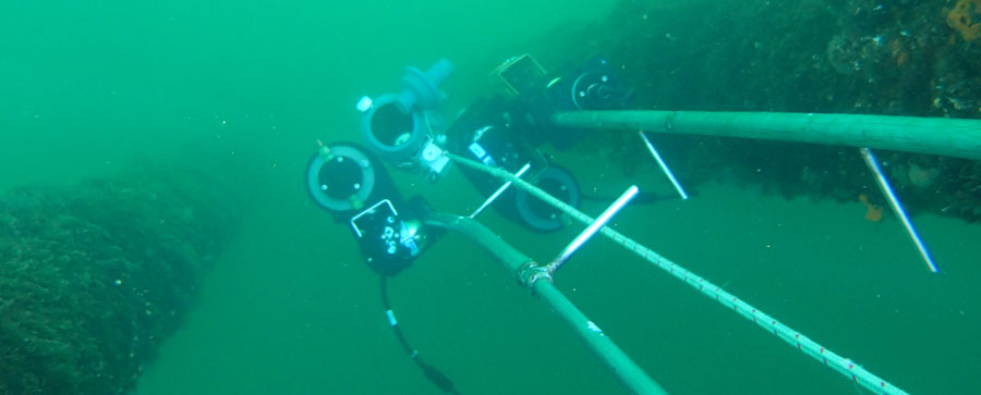 Underwater picture of oceanographic pH sensors and sampling bottle.