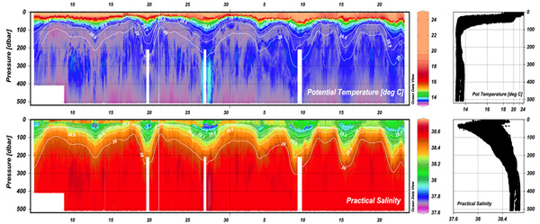 Graphic illustrating Practical salinity and Potential temperature data from the SeaExplorer